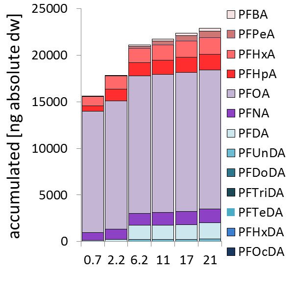 PFAS Soil Column Leaching Experiments PFCAs PFSAs FOSAs/FOSEs/FOSAAs