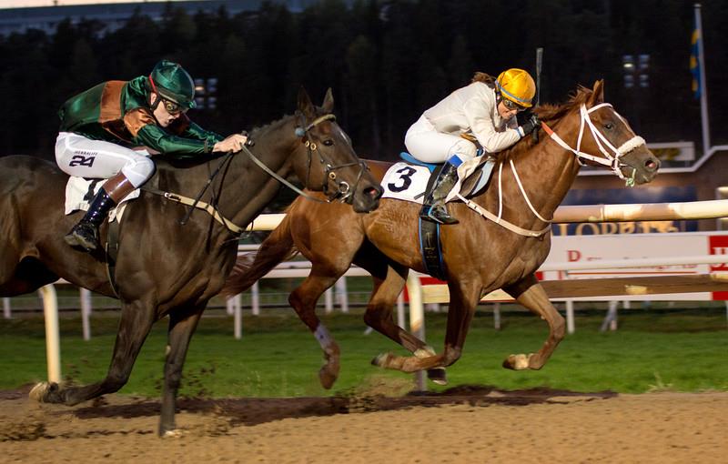 AMATÖRRYTTARKLUBBEN Amateur Riders Club of Sweden VERKSAMHETSBERÄTTELSE FÖR ÅR 2014 Tävlingsverksamheten Totalt avreds 57 amatörlöpningar på släta banan, en minskning med fyra löpningar jämfört med