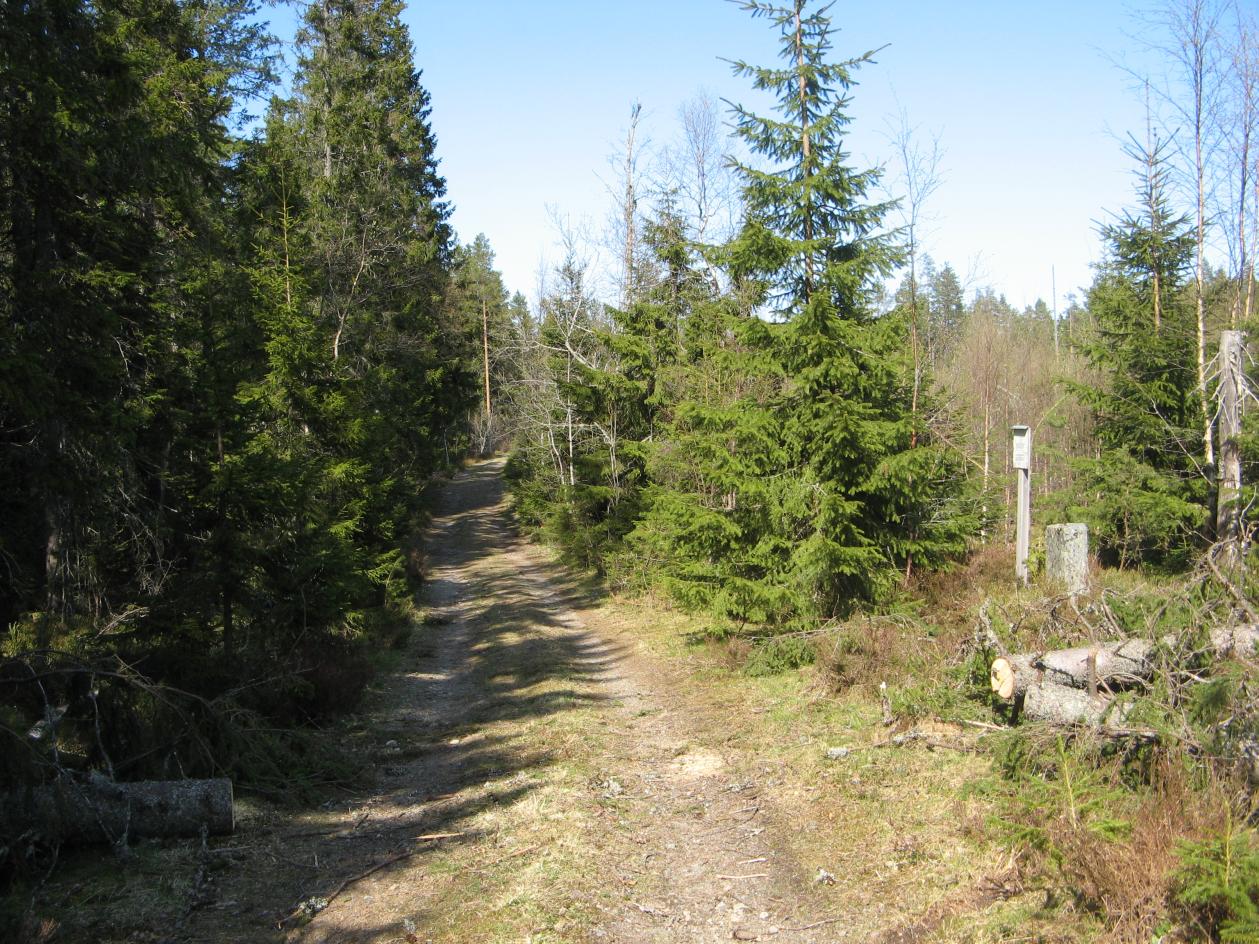 Västernorrland Britt-Marie Hägerman och David Loeffler Avdelningen