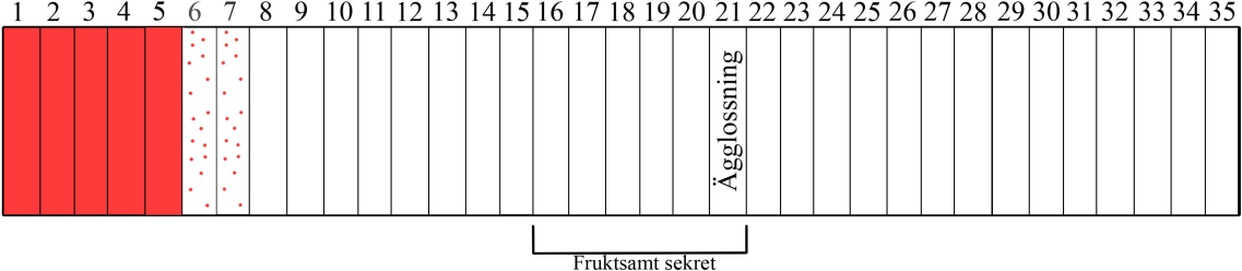 28 dagars cykel 23 dagars cykel 35 dagar cykel