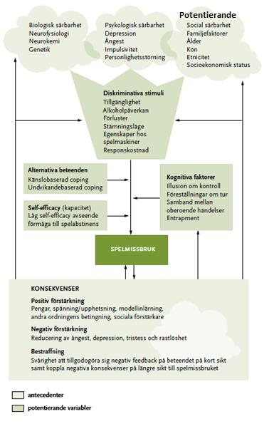 3.3 Riskfaktorer Det finns många faktorer som är gemensamma för individer som har riskabla spelvanor.