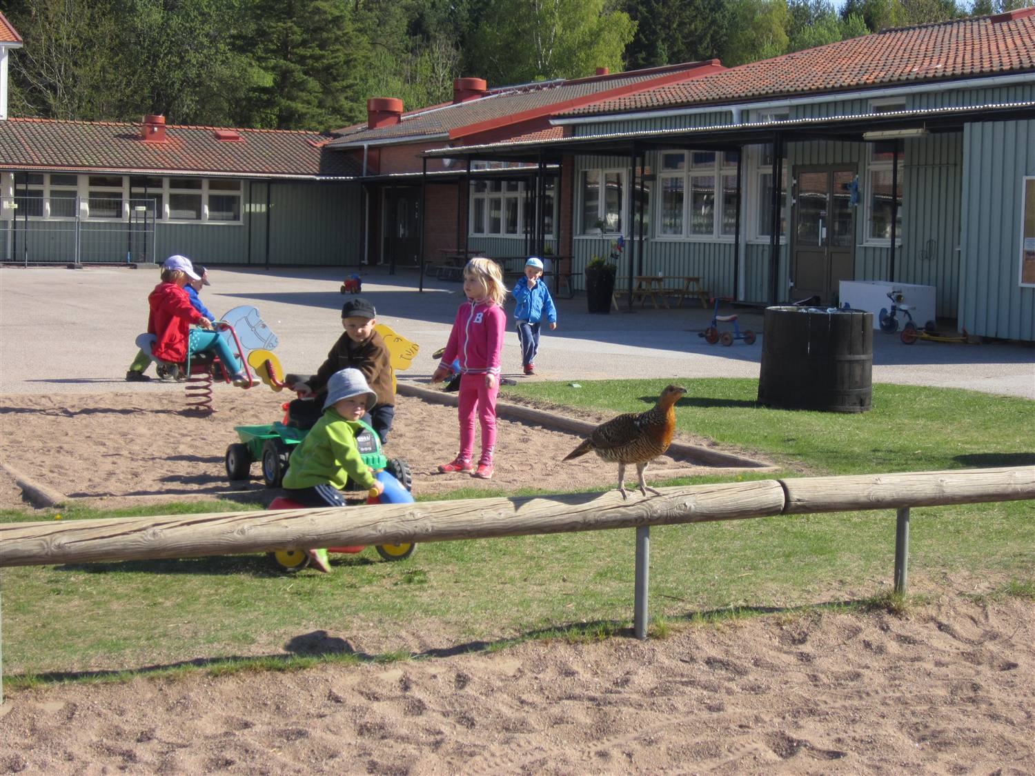 d. Ange en länk tll en webbplats där n vsar upp ert Grön Flagg-arbete. Detta är valfrtt. Utvecklngsområde 3 Tema Ttel Närmljö Naturupplevelser och allemansrätt. a. Vad har n gjort nom detta utvecklngsområde?