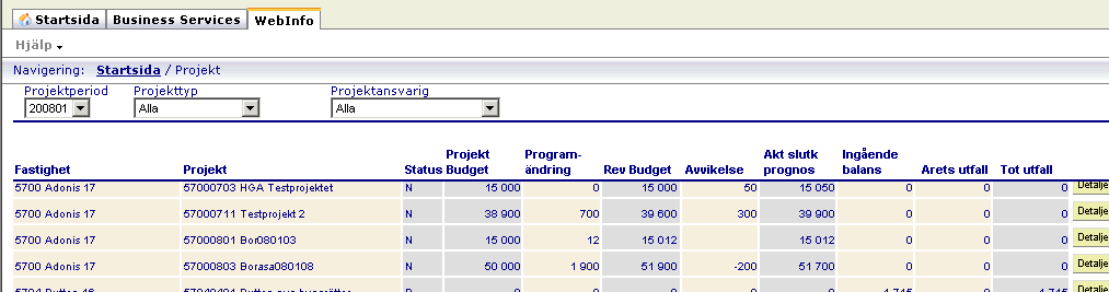 Manual Projektstyr Sidan 17