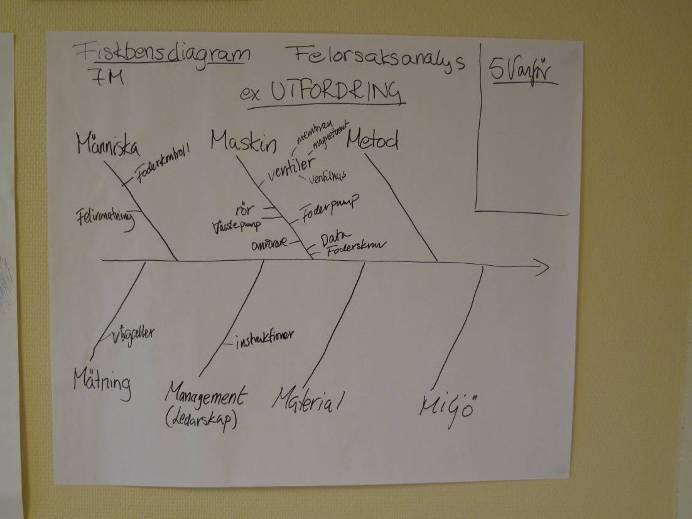 Exemplet visar andel grisar inom bäst betalningsintervall och kg foder/kg gris, ett nyckeltal som är viktigt för verksamheten.