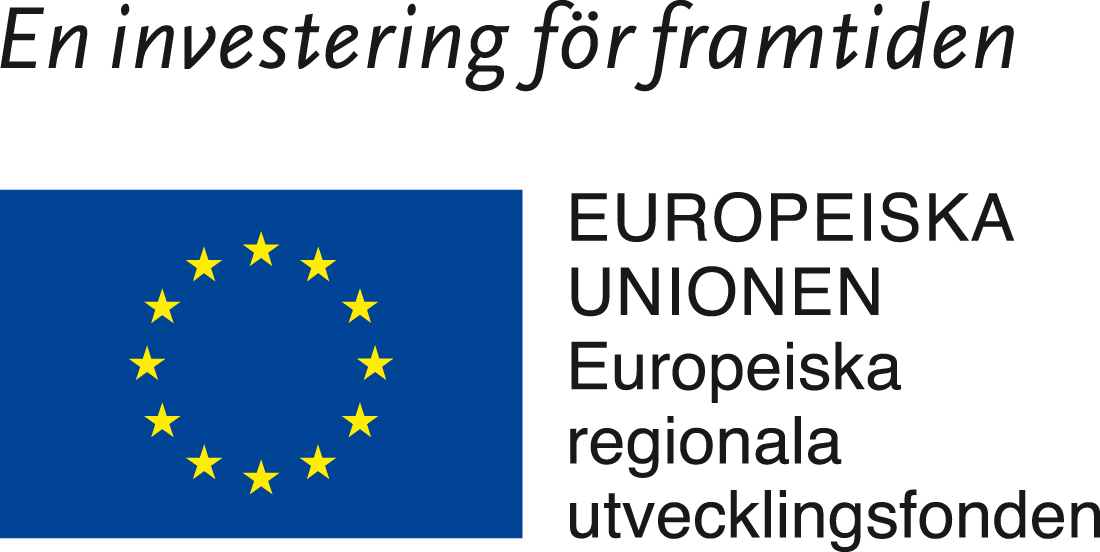 30 Lärdomar om regional mobilisering Under åren 2010-2012 drev Region Skåne i samarbete med 42 andra offentliga aktörer i Skåne och Blekinge med finansiering från den Europeiska regionala