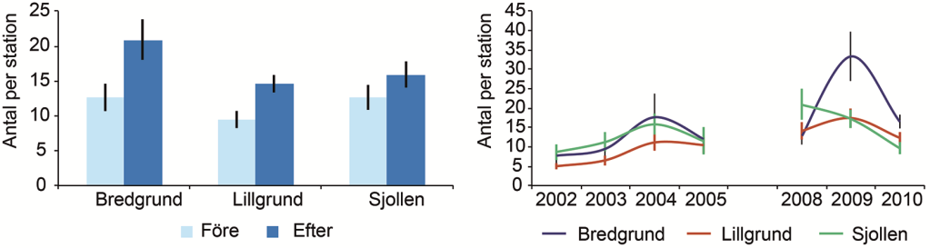 Figur 17. Förekomsten av tånglake, torsk, stensnultra och gulål under åren 2002 2010 på Lillgrund och de två referensområdena Bredgrund och Sjollen.