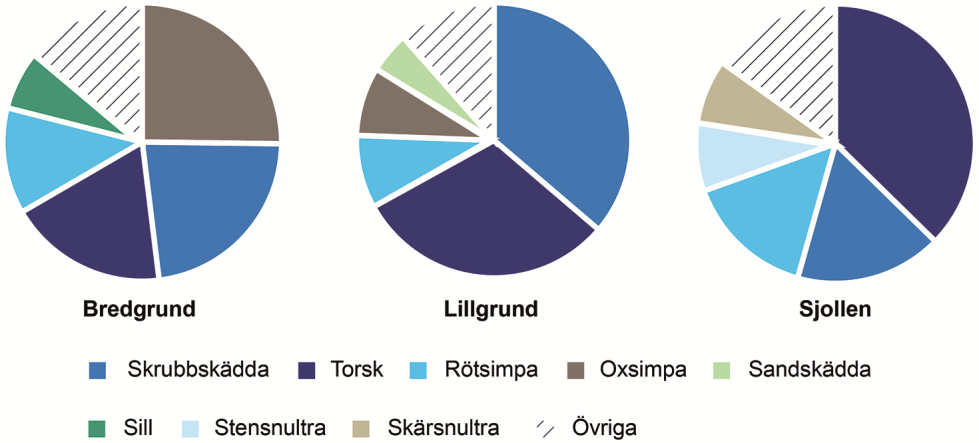 Tabell 9. Lista över arter som fångats vid nätfisket före (2002 2005) och efter (2008 2009) anläggningen av vidkraftparken vid Lillgrund och de två referensområdena Bredgrund och Sjollen.