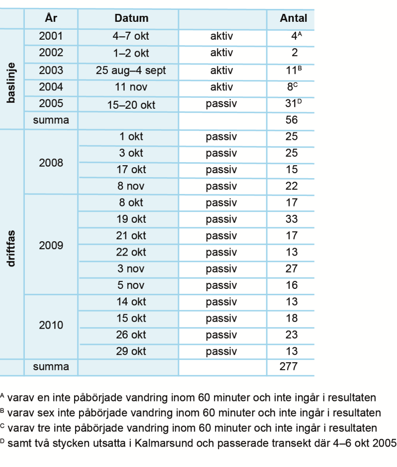 vägdes. Vikten och storleken på ålarna indikerar att alla var honor. Endast ålar som bedömdes vara i vandringsfas, så kallade blankålar, användes.