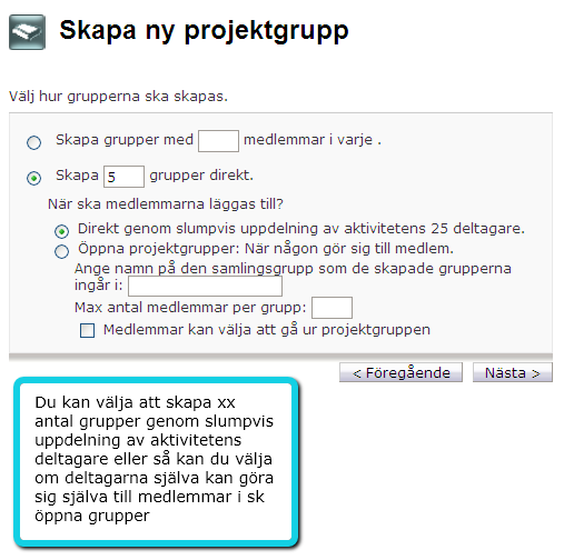 2. I nästa fönster väljer du om du ska skapa en projektgrupp eller flera. Vi väljer Skapa flera grupper: 3.