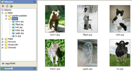 Alla filer som läggs in i bildarkivet blir sökbara i sökmotorn.