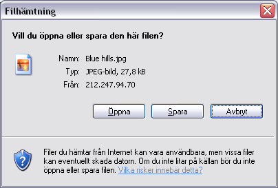 När man har valt format kommer Fil nerladdning dialog att öppnas.