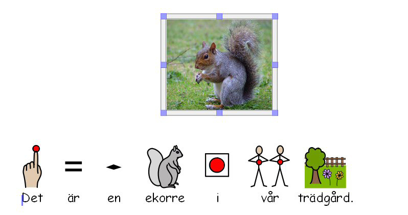 Skriv Det är en ekorre i vår trädgård. För att sedan lägga in en bild till meningen använder du bildarkivet. I exemplet nedan har vi valt katalogen Fotografier och fotot på en ekorre.