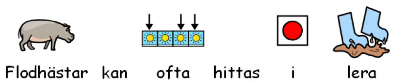 C Symboler C1. Angående symbolisering 1. Att välja den lämpligaste bilden Många ord kan ha flera betydelser, eller nyanser. Det är viktigt att du väljer korrekt symbol för vad du menar.