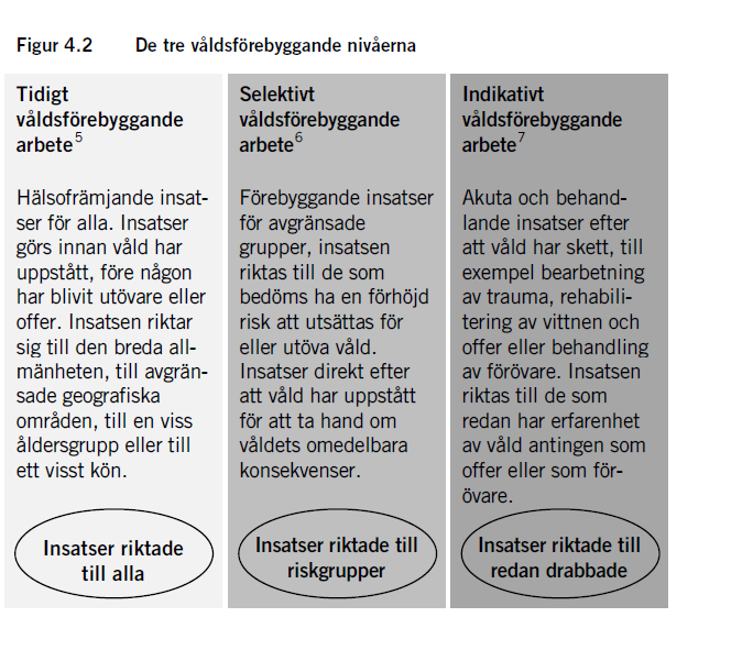 De tre våldsförebyggande nivåerna 5.