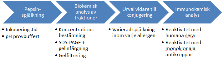 5 Resultat Exjobbets resultat kunde delas in i fyra olika faser sammanfattade in en schematisk bild nedan (figur 8). Figur 8. Exjobbets flöde.