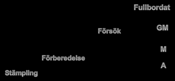 Schematisk skiss (stämpling, förberedelse, försök, fullbordat) GM=gärningsman M= medhjälpare A= anstiftare Ställ er frågan: Vad är det mesta som hänt?