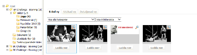 NAMNGE ALBUMET OCH KLICKA PÅ OK. ENKEL VY Här ser du bilder och dokument utan förklaring eller vidare information.