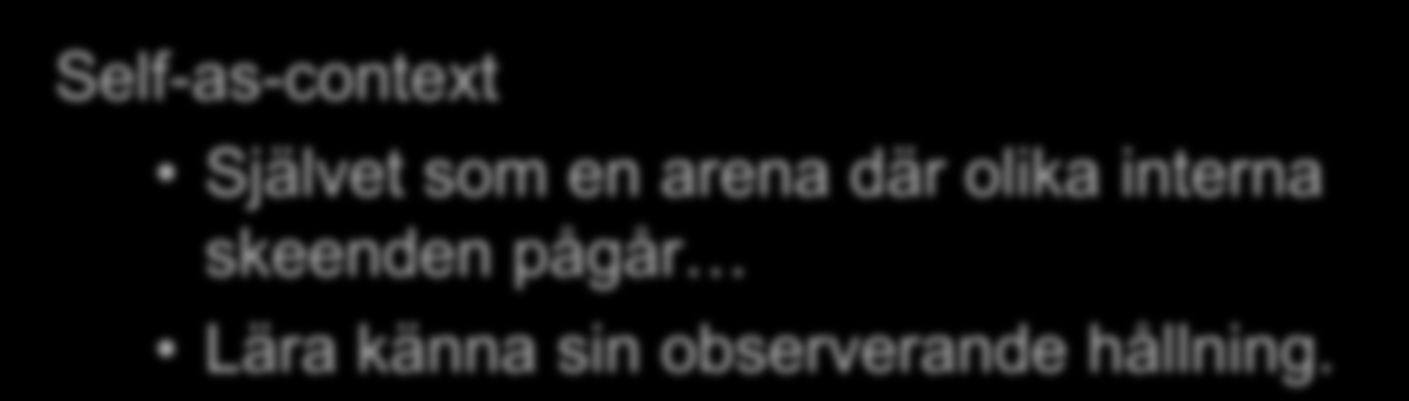 Mindfulnessprocesser i ACT Self-as-context Självet som en arena