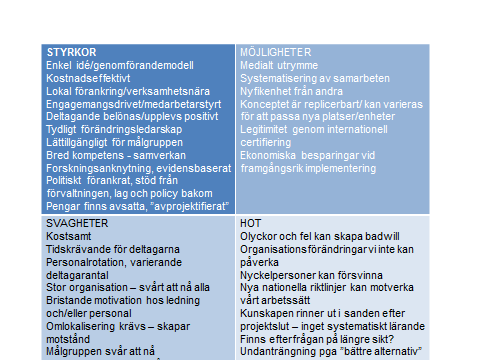 Som framgår av ovan fanns projekt av mycket olika karaktär och omfattning representerade inom gruppen.