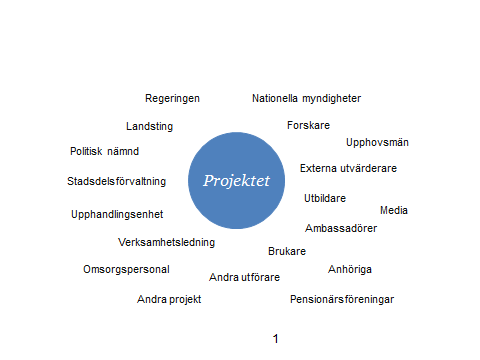 De forskare som uppmärksammat förhållandet mellan projekt och omgivning har gjort det på något olika sätt.