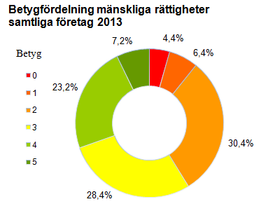 fler än föregående rapport. Tribona och EpiCept är exempel på företag som borde uppdatera sig om vad mänskliga rättigheter kan medföra för företagen och för deras arbete.