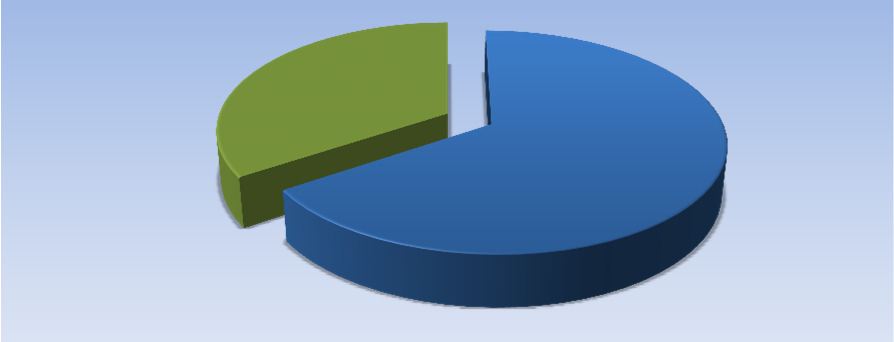Årsredovisningen i bilder Taxeringsvärde Mark 34% Kommentar Förhållande mellan taxering för mark och byggnader Byggnader 66% Belåningsgrad 40 000 30 000 Kommentar Bästa räntevillkor erhålles upp till