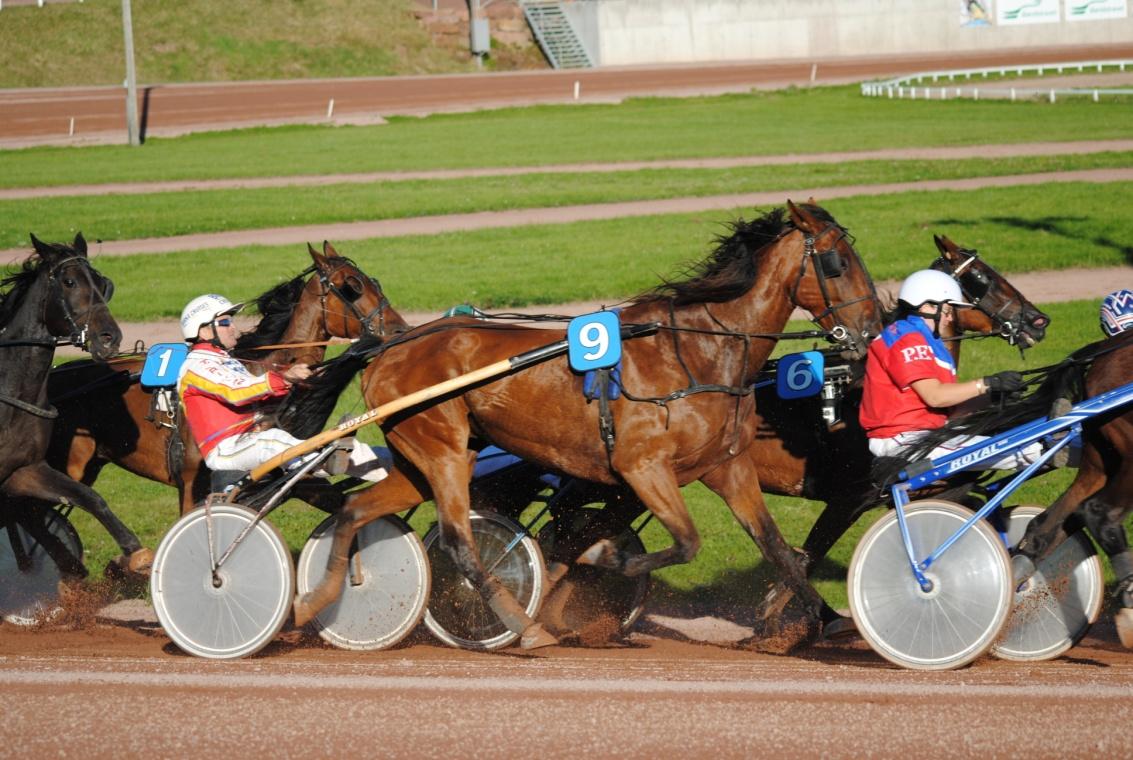 6.10 Travet på Åland Bild 7: Ålandstravet stor-trav augusti 2012 (Foto: Jenny Karlsson) Travet är i Finland liksom i Sverige en ekonomiskt mycket betydande verksamhet inom hästnäringen.