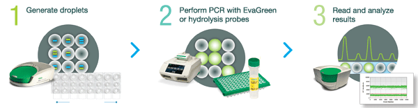 Figur 1. Schematisk översikt av arbetsgången vid en droplet digital PCR. Bildkälla: http://www.bio-rad.com/en-se/product/qx200-droplet-digital-pcr- system?