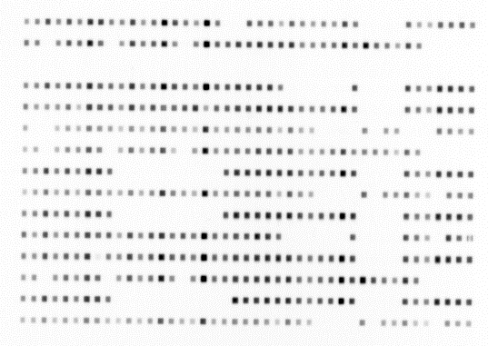 inkubering med streptavidin-peroxidas och kemisk luminiscens