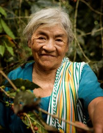 En man som kom att betyda mycket för Fairtrade var Frans Vanderhoff, han flydde från Chile till Mexiko på 70-talet och bosatte sig i sydöstra Mexiko.