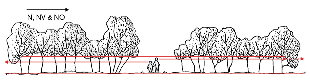 på vegetationen som är viktigast att tänka på i planeringen (Rudis, 1985., se Schroeder et al. 2009 s. 5).