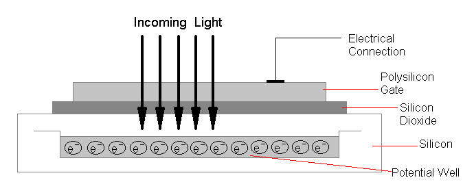 CCD:n CCD = Charge Coupled Device Ett element av CCD chip:et = 1 Pixel (bild element) Pixel Ett ljuskänsligt siliconchip Elektroner frigörs vid infallande ljus