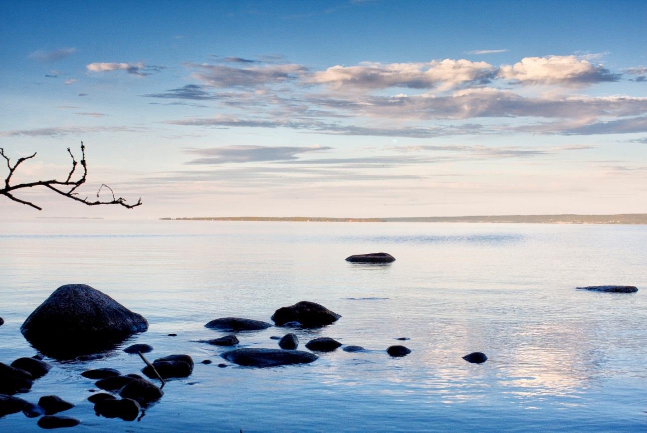 .. 3 Årsspecifika arbetspunkter för 2014 (8st)... 20 Personal och medlemmar.