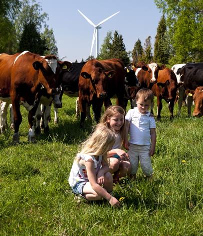 Bo, leva och verka i hela