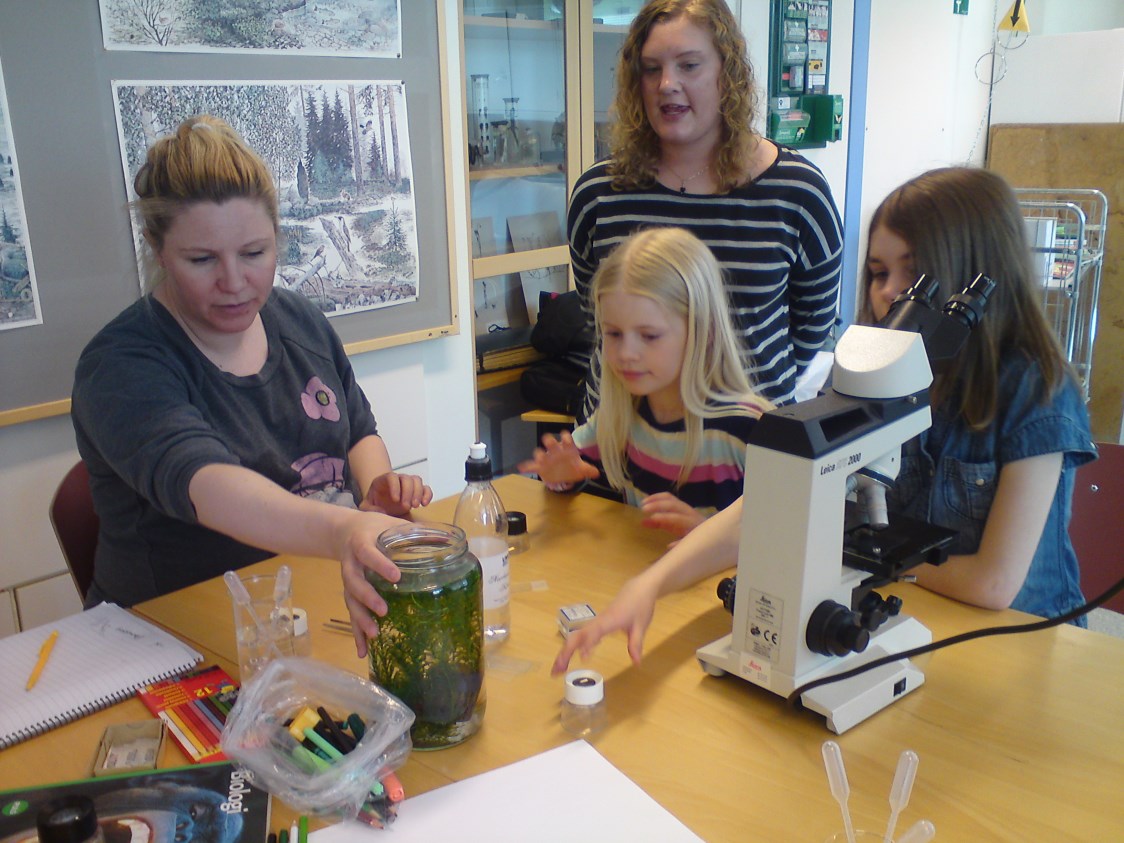 Naturvetenskapliga och tekniska begrepp och företeelser i naturen och samhället behandlas ingående, omformas till övningar och experiment och används i undervisningsövningar med elevgrupper.