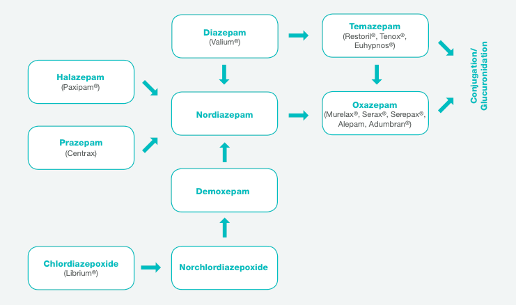 cut-off för oxazepam ligger på 300 ng/ml (4). Detektionstiderna varierar mycket för Bensodiazepiner. Detta pga. av de många olika varianter som finns idag.