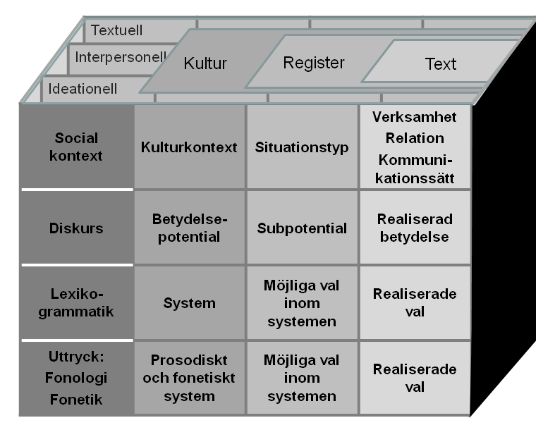 Kiasm kontexten, diskursen, lexikogrammatiken och i det språkliga uttrycket (se figur 1).