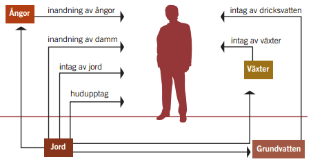 4.2.2 Föroreningssituation i grundvatten Relativt få analyser har gjorts avseende metaller i grundvatten. I dagsläget har enbart två analyser utförts på fastigheten Svarvaren 14.