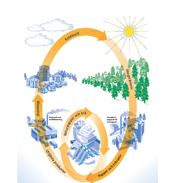 Skogsindustrin är Sveriges unika resurs i ett framtida klimatneutralt samhälle I denna analys av trä och biomassa i ett hållbart samhällsbyggande inkluderas alla skogsprodukternas
