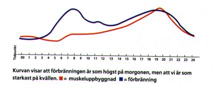 Träna inte. 31 32 Träna aldrig när man har nt i halsen ch/eller när man har feber Träna inte när du har färgat slem från hals/näsa.