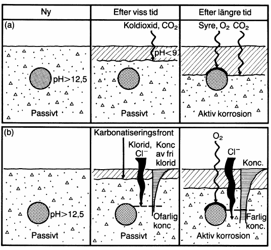 KAPITEL 2. VARFÖR SPRICKER INDUSTRIGOLV? Armeringskorrosion Armeringsstål som finns i betongkonstruktioner korroderar av två anledningar; kloridinträngning och karbonatisering, se figur 2.4.
