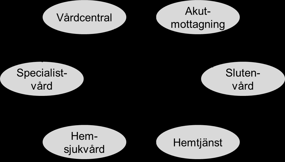 Figur 9. Vårdlotsarnas observationer kring systematiska problem i dialogen med patienten. Slutligen upplevs också koordinering mellan vårdgivare vara undermålig.