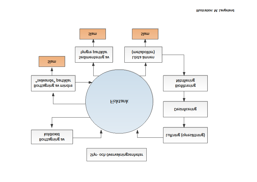 Figur 3.2 Schematisk bild över processer i en RAS anläggning. Notera att processerna kan tas från ett eller flera olika vattenflöden från fisktankarna.