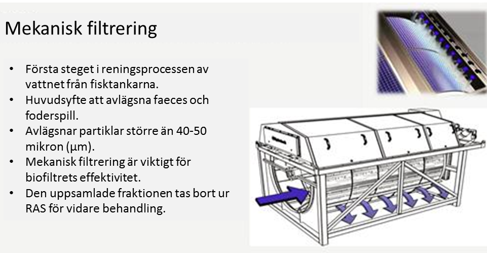 Appendix 1 RAS Det finns några olika modeller av mekaniska filter, t.ex. bandfilter och vanligare förekommande trumfilter (Fig A1.2), som utvecklats av bl.a. det svenska företaget Hydrotech (Veolia Water systems Group).