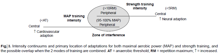 Figur 1. Dochertys och Sporers (2000) modell för beskrivning av interferensen mellan styrke- och uthållighetsträning.