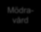 Hur många tjänstekontrakt ska vi ha för uttag av klinisk historik ur journalen? Barnhälso data Reuma beslutsstöd Förlossningsjour nal Labbsvar EKG Diagnos, uppm.