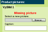 May 22, 2009 Figure 2.3: Form for adding goods You are now at the template New item (see picture 2.