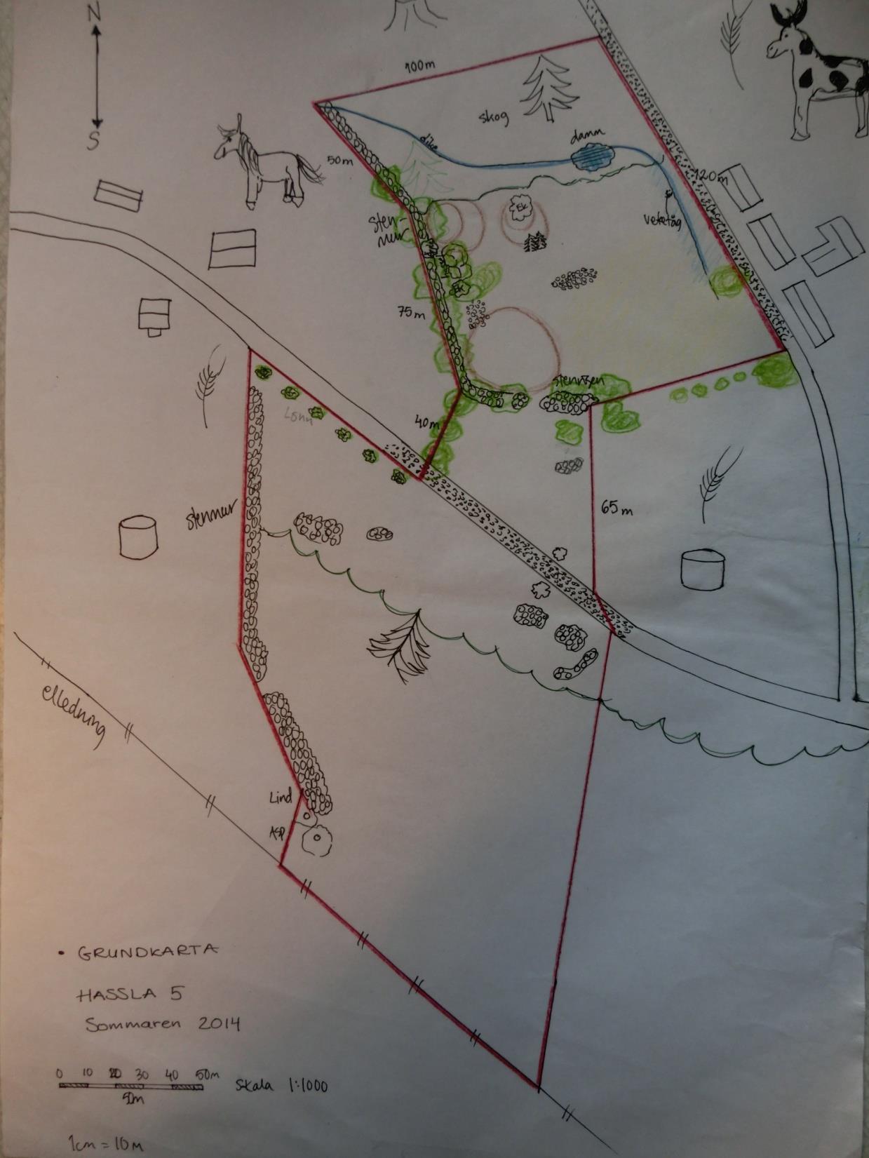 Leka vid bäcken och plocka svamp skog Typ av mark idag Öppen mark Plats för hus och odlingar Ängar Betesmark till grannens djur Granskog Planterad ung och gammal granskog Mager och stenig jord Lågt