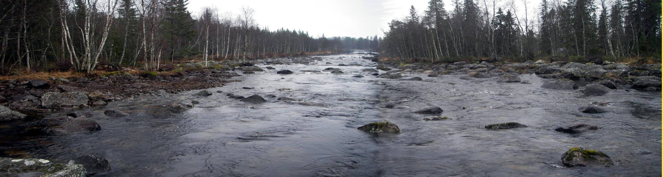 kunskap Utvärdera