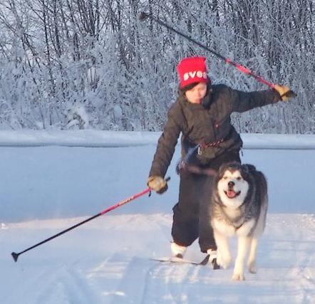 Hälsosamma matvanor ger grunden till allt! Ät hälsosamt och regelbundet!